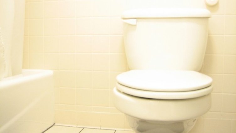 Снимка: freeimages