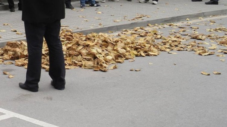 Снимка: Булфото, архив