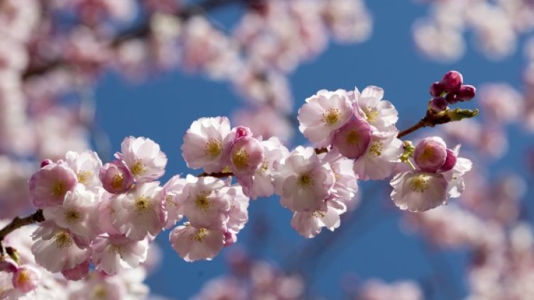 Снимка: Reuters, архив