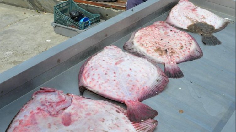 Снимка: Reuters, архив