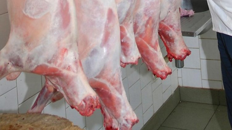 Снимка: Булфото, архив