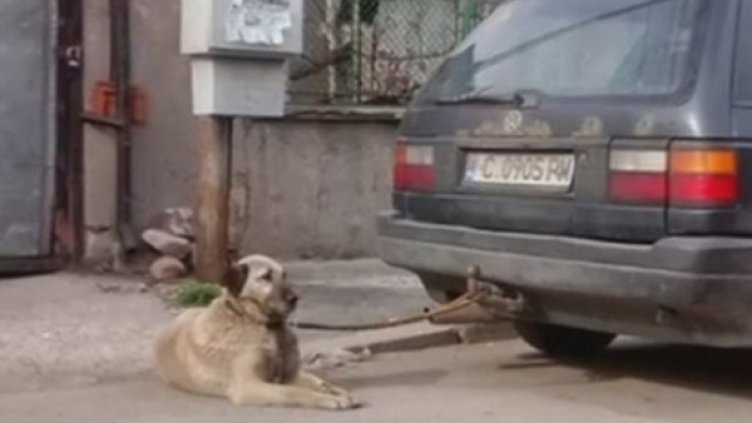 Снимка: Facebook