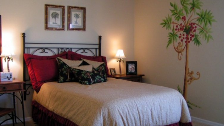 Снимка: freeimages