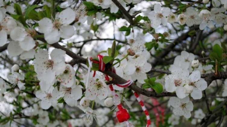По-хладно време ни очаква събота и неделя