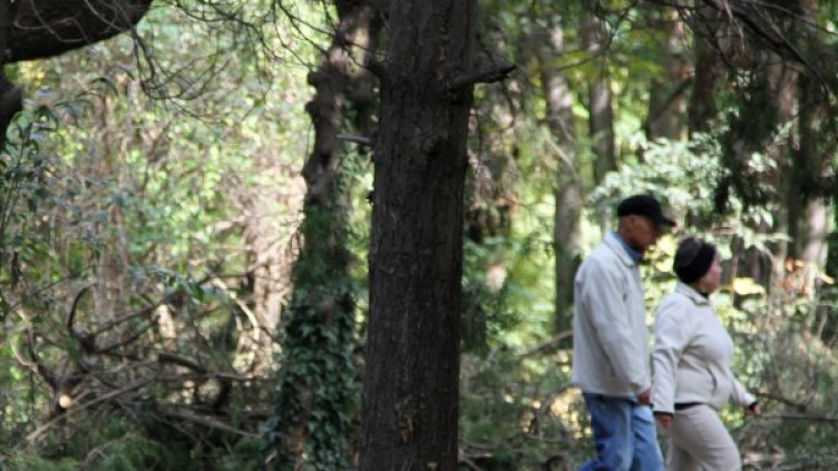 Снимка: Булфото, архив