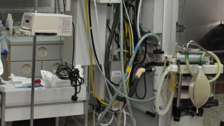 Снимка: архив, БулФото