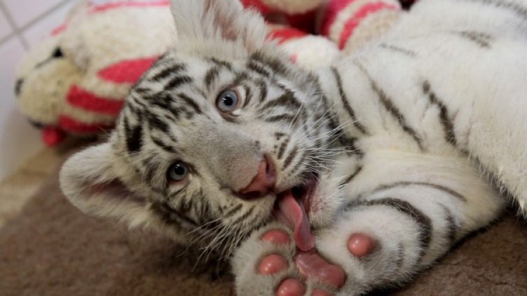 Снимка: архив, Ройтерс