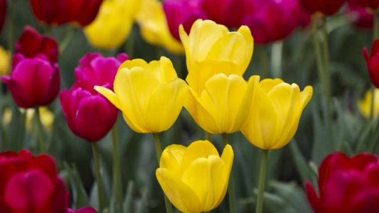 Снимка: архив Reuters