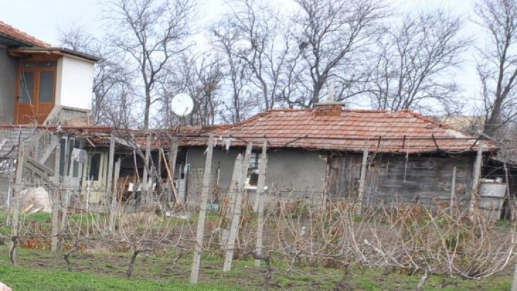 Снимка: Булфото, архив