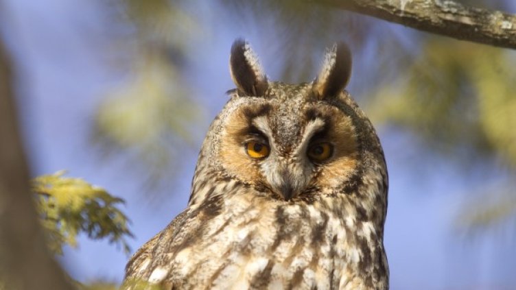 Снимка: Reuters, архив