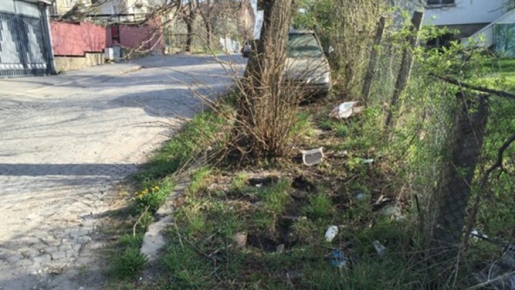 Снимка: "24 часа"