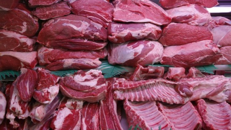 Снимка: Булфото, ахрив