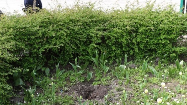 Снимка: Община Видин