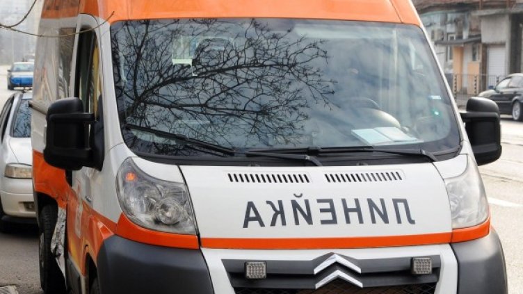 Снимка: Булфото