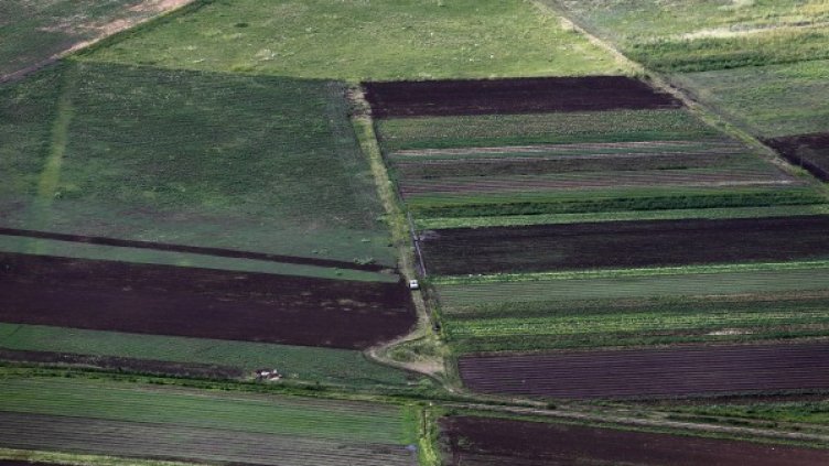 Снимка: Reuters, архив