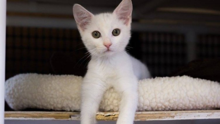 Снимка: Facebook