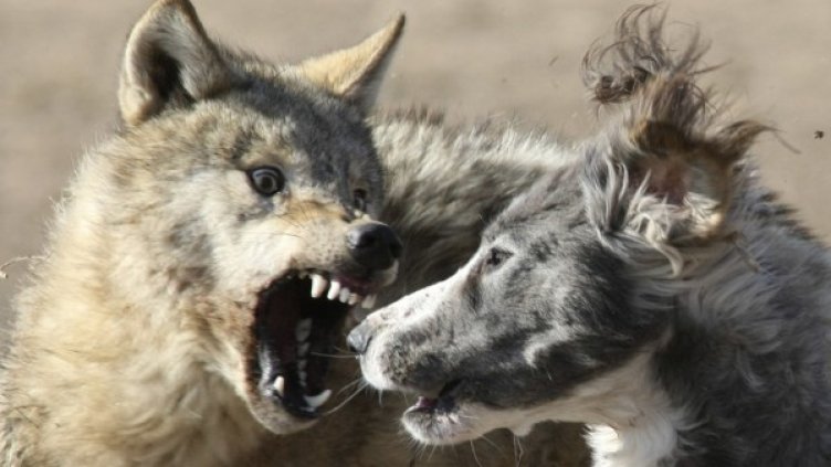 Снимка: Reuters, архив