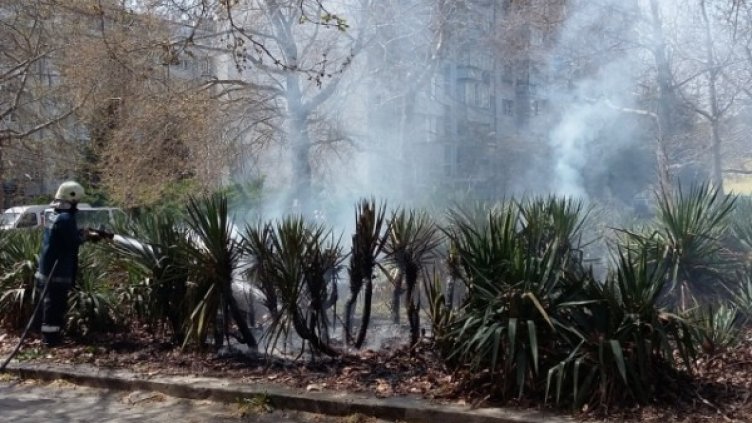 Снимка: Черно море