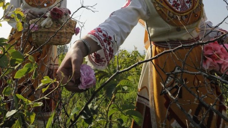 Розобер. Снимка: архив, БулФото