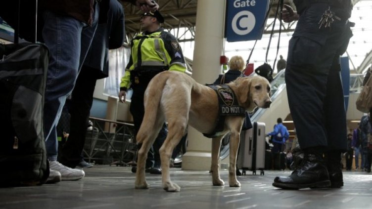 Снимка: архив, Reuters