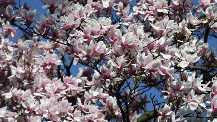 Снимка: архив, Reuters