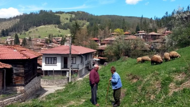 Снимка: архив, Булфото