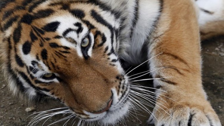 Снимка: архив, Reuters