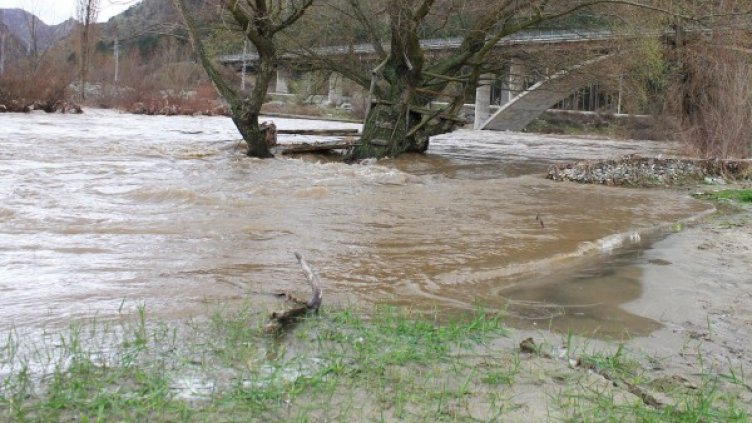 Архив: Булфото