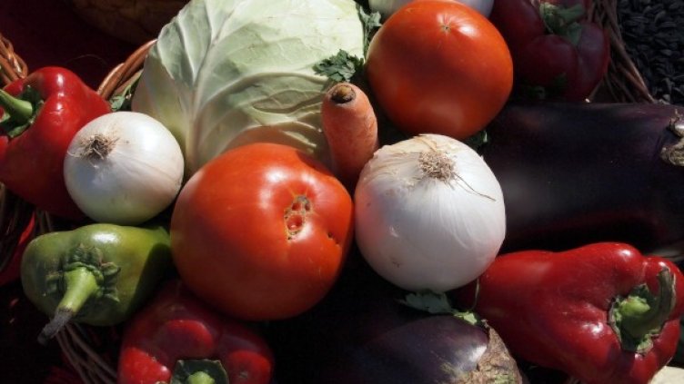 Еднодневните договори засега са само в земеделието. Снимка: архив, БулФото