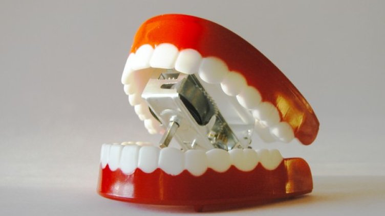 Снимка: freeimages