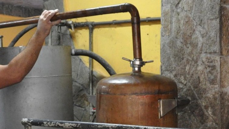 Снимка: Булфото, архив