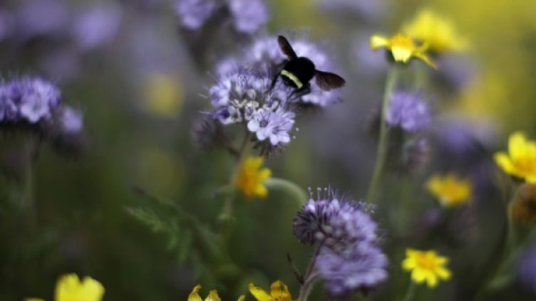 Снимка: архив, Reuters