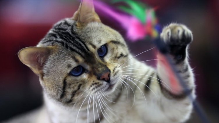 Снимка: Reuters, архив