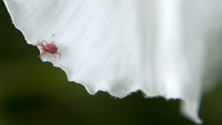 Снимка: Reuters, архив