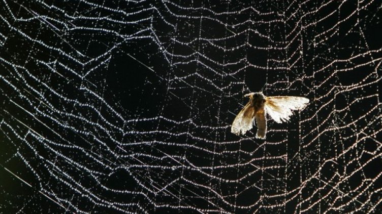 Снимка: Reuters, архив