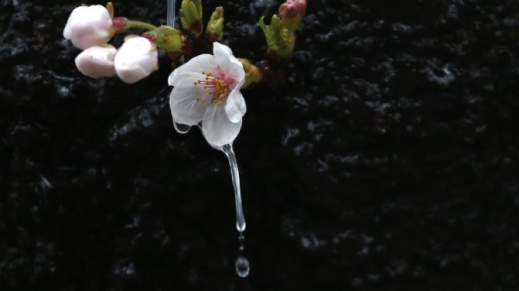 Снимка: архив Reuters