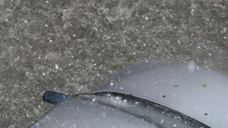 Снимка: архив, БулФото