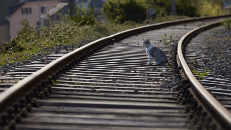 Снимка: архив, Ройтерс