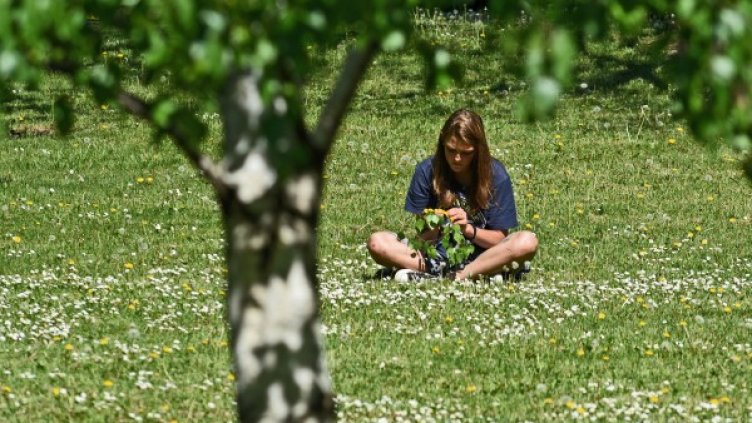 Снимка: архив Булфото