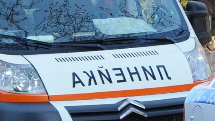 Снимка: Булфото, архив