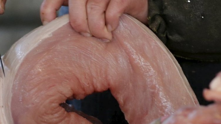 Снимка: Reuters, архив