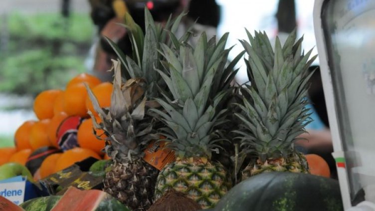 Снимка: Булфото, архив