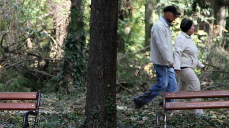 Снимка: Булфото, архив