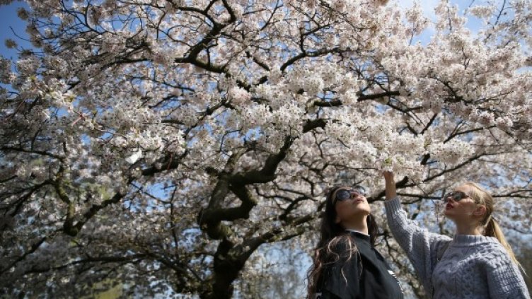 Снимка: Reuters