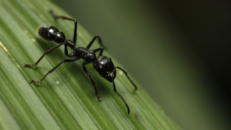 Снимка: архив, Bulphoto