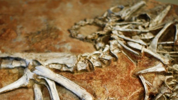 Снимка: архив, Reuters