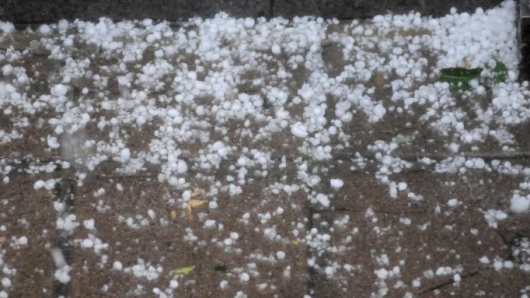 Снимка: Булфото, архив