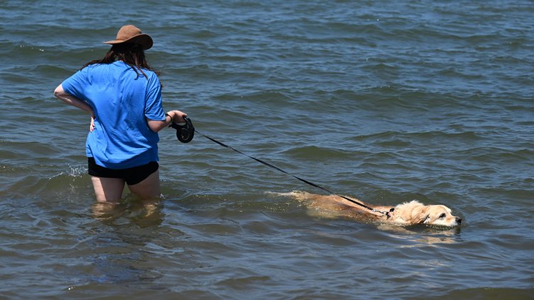 Снимка: архив, БГНЕС