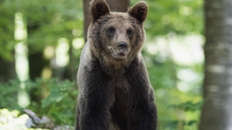 Снимка: Pixabay