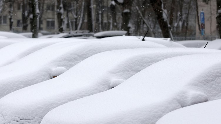 Снимка: архив, БГНЕС